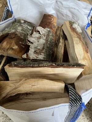 Large Birch Firewood