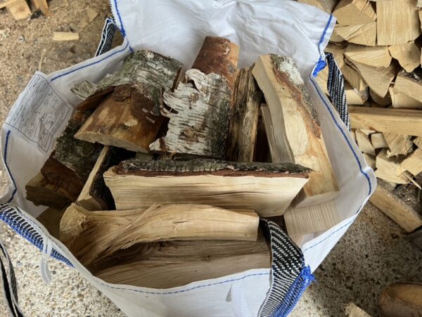 Large Birch Firewood