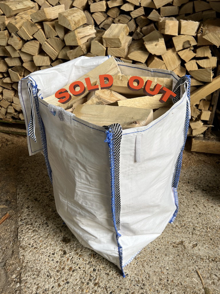 Large Birch Firewood