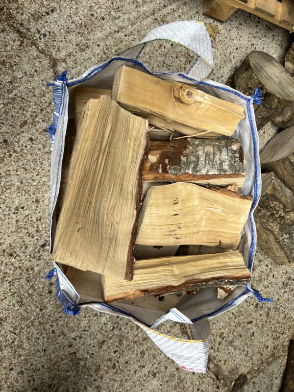 Large Birch Firewood