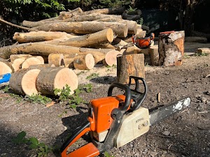 Urban Logs Ltd place picture