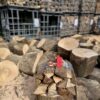 Firewood Bundles